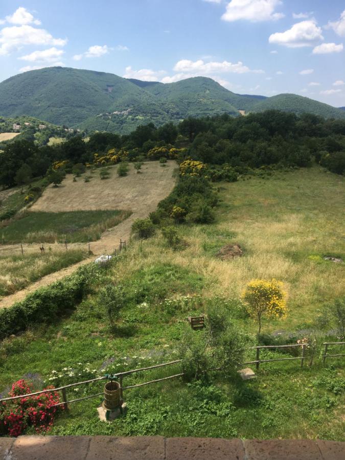Casale Flaminia Bed & Breakfast Spoleto Exterior photo